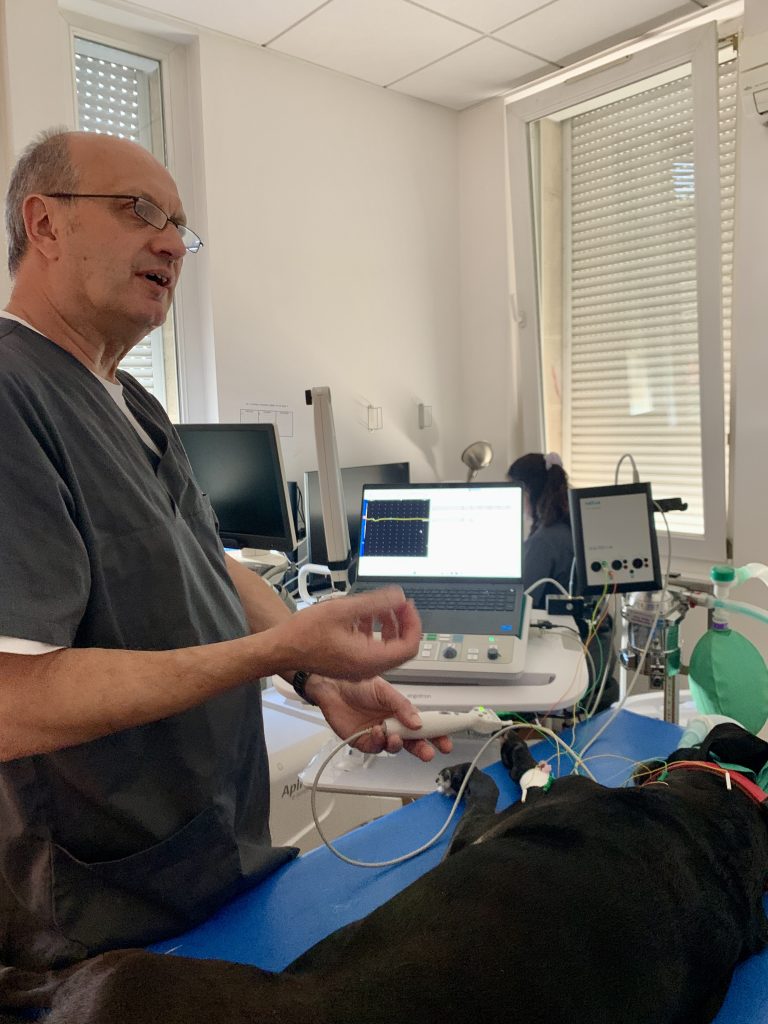 Docteur vétérinaire Laurent Fuhrer, spécialiste européen en Neurologie Vétérinaire